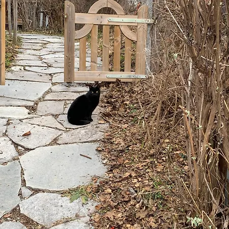 Le De Briey - A 7 Minutes De Vercorin * Chalais