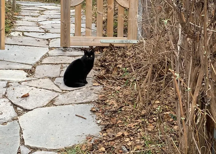 Le De Briey - A 7 Minutes De Vercorin * Chalais